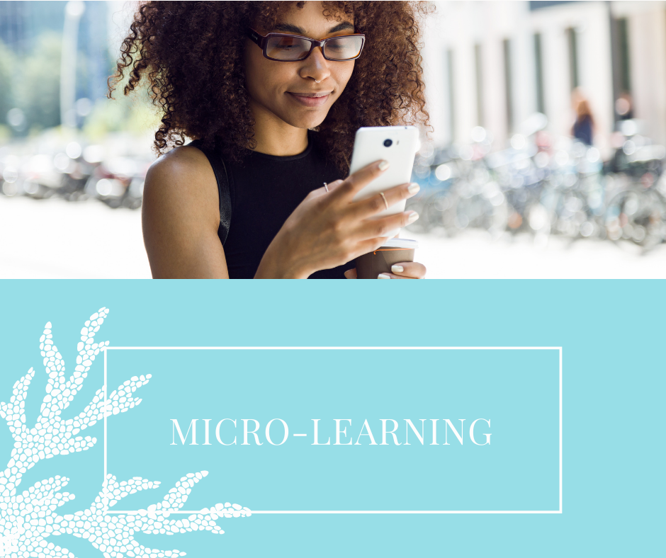 Micro-Learning